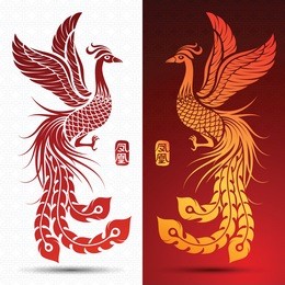 illustration of traditional chinese phoenix ,vector illustration,chinese character translate phoenix