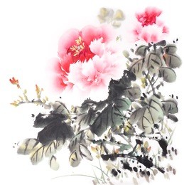 traditional chinese ink and wash painting:peony flower