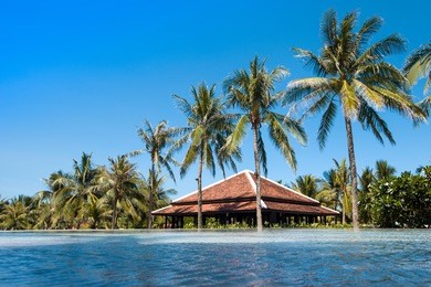 horizon blue pool, seawall and row of palm trees in front of the my khe beach in da nang, vietnam