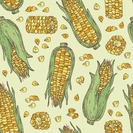 seamless with corn . hand drawn