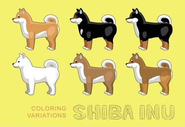 dog shiba inu coloring variations vector illustration