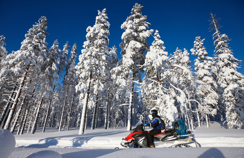 man driving snowmobile in snowy forest in a sunny day. lapland, finland.