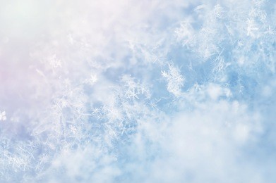 macro image of snowflakes. winter background. 