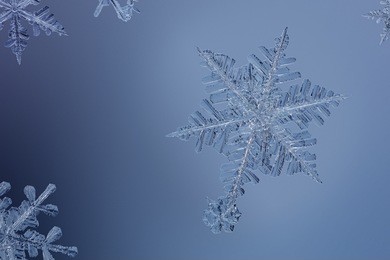 macro shots of real snowflakes, isolated on glass plate on top of blue paper background