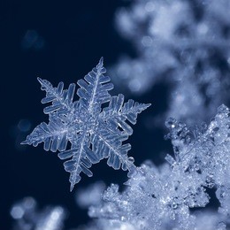 digital composite of snowflakes and frost.