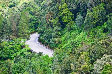 the road and trees to genting highland in malaysia