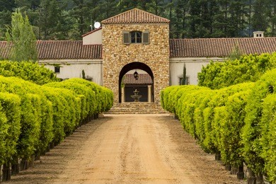 stellenbosch wine region close to cape town in south africa