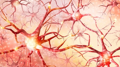 3d illustration. pulses of neurons in the brain. a high resolution.