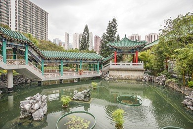 small pond in god wish garden among skyscrapers of the city in wong tai sin temple in kowloon in hong kong