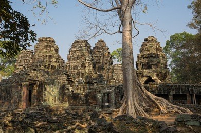 ruins of ta prohm temple at angkor wat complex, siem reap, cambodia