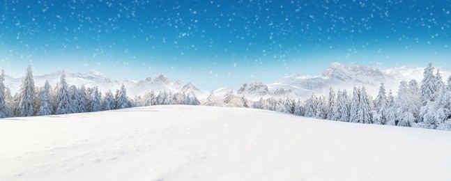 beautiful winter panorama with fresh powder snow. landscape with spruce trees, blue sky with sun light and high alpine mountains on background
