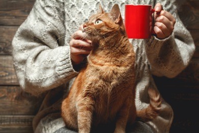 girl in warm sweater drinking coffee with red cat on her lap.