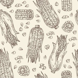 seamless with corn . hand drawn