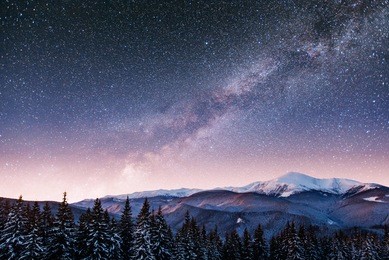 dairy star trek in the winter woods. dramatic and picturesque scene. carpathian, ukraine, europe.