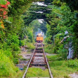 train in tunnel tree at bangkok thailand