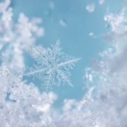 digital composite of snowflakes and frost.
