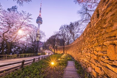 seoul tower in seoul city at night view in spring with cherry blossom tree, south korea.