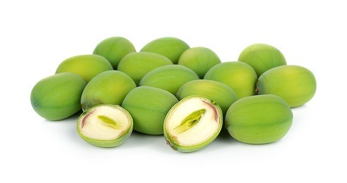 lotus seed or young plant in the lotus seed or the bitter sprout