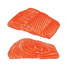 salmon slices on white background