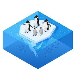 isometric 3d vector realistic style illustration of penguins on the glacier in the open sea. isolated on white background. 
