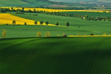 wavy fields of south moravian, moravia, south moravia, czech republic