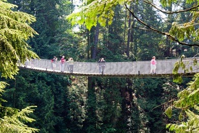 side view of the capilano suspension bridge in vancouver, canada
