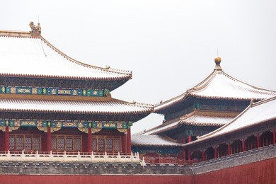 under the snow of the forbidden city