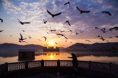 jal mahal at sunset

