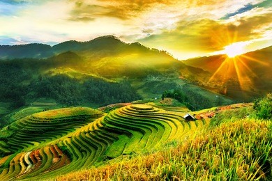 rice fields on terraced of mu cang chai, yenbai, vietnam. vietnam landscapes.