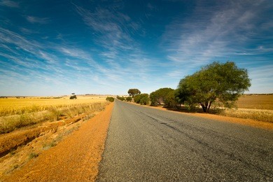 golden wheat field, road through, blue sky