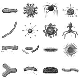 virus icons set. gray monochrome illustration of 16 virus  icons for web