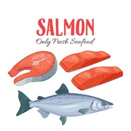 set salmon vector illustration. fillet, steak and fish salmon in cartoon style. seafood product design.