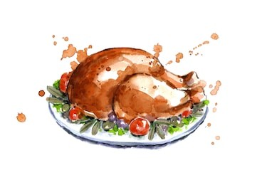 turkey on thanksgiving day.