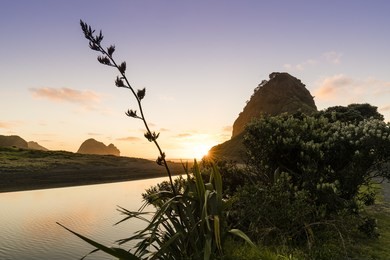 piha sunset/ piha beach is one of nz's most famous beaches, situated on the west coast of auckland 