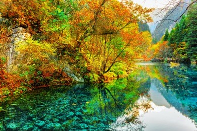 fantastic view of the five flower lake (multicolored lake) among colorful fall woods in jiuzhaigou nature reserve (jiuzhai valley national park), china. autumn forest and mountains reflected in water.