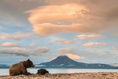 sunset at lake kuril. bears are having a rest