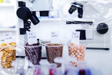 chemical laboratory of the food supply . food in laboratory, dna modify .