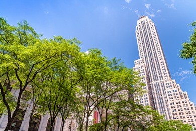 buildings of new york city, fifth avenue, manhattan.