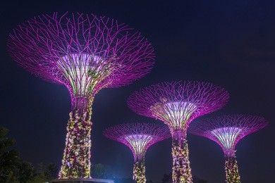 supertree garden at night, garden by the bay.