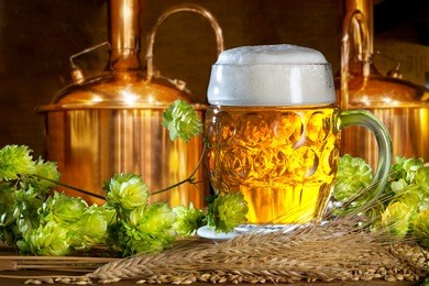 beer glass with hops and barley in the brewery