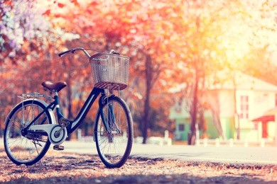 vintage bicycle in summer meadow made with color vintage tone,filtered effect