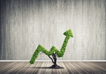 market growth and success as growing green tree in shape of arrow