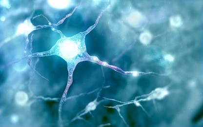 neural network human nervous system on blue background (3d illustration)