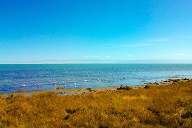 qinghai lake in qinghai province, china