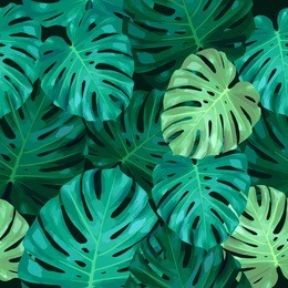 seamless pattern of leaves monstera. tropical leaves of palm tree. vector background.