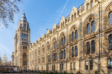 natural history museum in winter, london, england