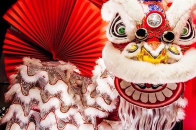 chinese lion dance for chinese new year with red fan in the background