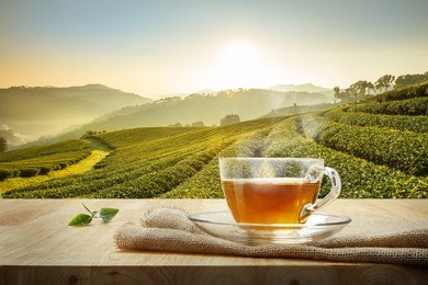 cup of hot tea and tea leaf on the wooden table and the tea plantations background