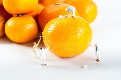 painters coloring  orange