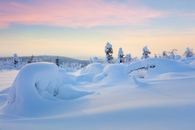 wonderful northern winter sunset landscape - snow covered pine trees and big snowbanks, hills valley - wallpaper